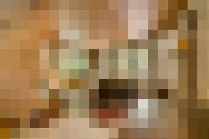 Dennenlaan 1 Maarheeze thumbnail 16