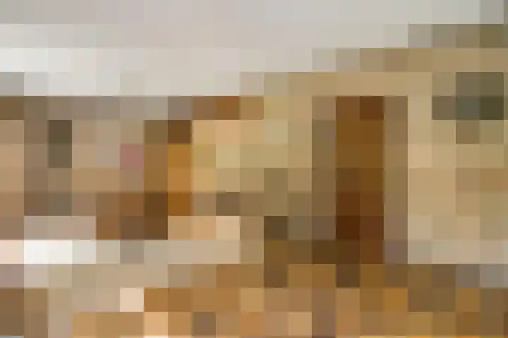 Dennenlaan 1 Maarheeze thumbnail 18
