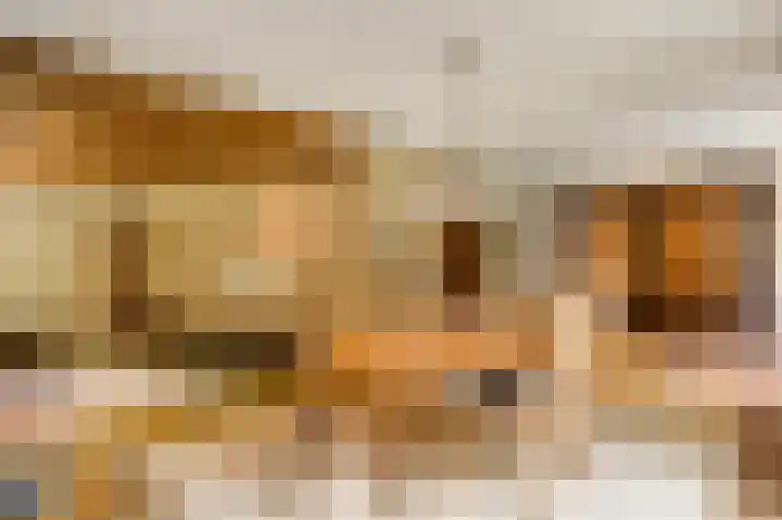 Dennenlaan 1 Maarheeze thumbnail 19
