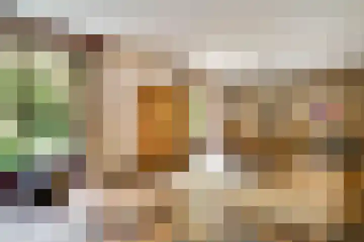 Dennenlaan 1 Maarheeze thumbnail 20
