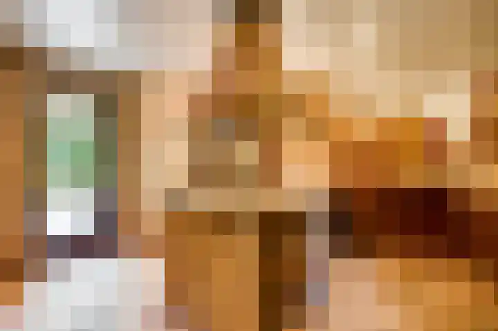 Dennenlaan 1 Maarheeze thumbnail 23