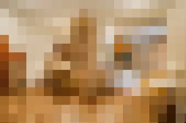 Dennenlaan 1 Maarheeze thumbnail 25