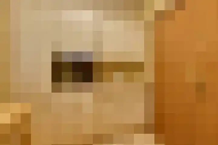 Dennenlaan 1 Maarheeze thumbnail 26
