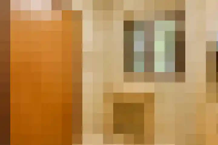 Dennenlaan 1 Maarheeze thumbnail 27
