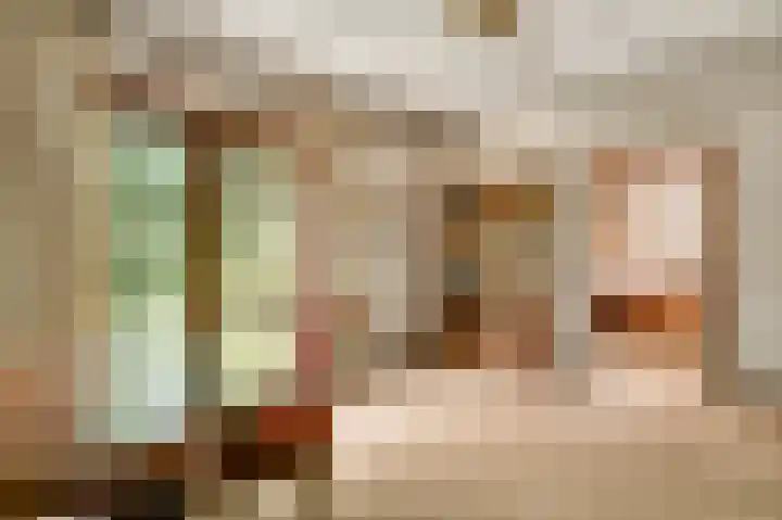 Dennenlaan 1 Maarheeze thumbnail 28