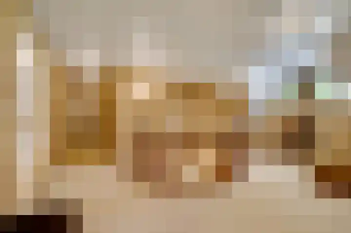 Dennenlaan 1 Maarheeze thumbnail 31