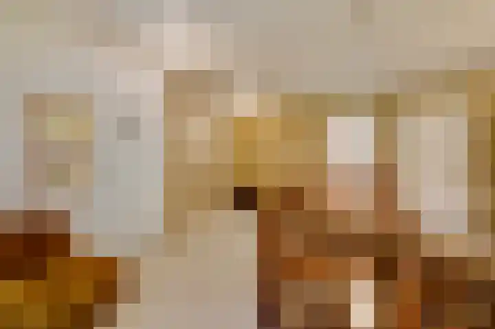 Dennenlaan 1 Maarheeze thumbnail 32