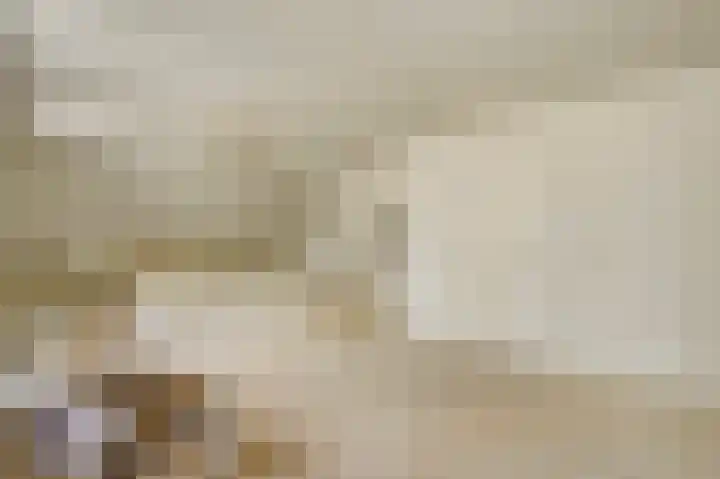 Dennenlaan 1 Maarheeze thumbnail 34