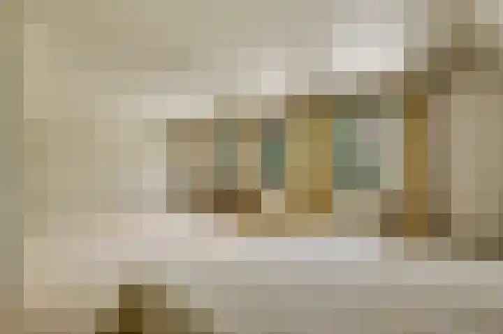 Dennenlaan 1 Maarheeze thumbnail 35