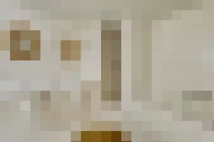 Dennenlaan 1 Maarheeze thumbnail 36