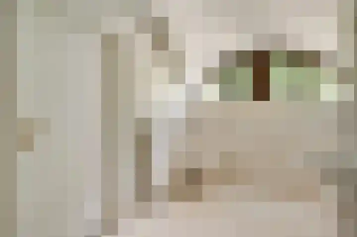 Dennenlaan 1 Maarheeze thumbnail 37