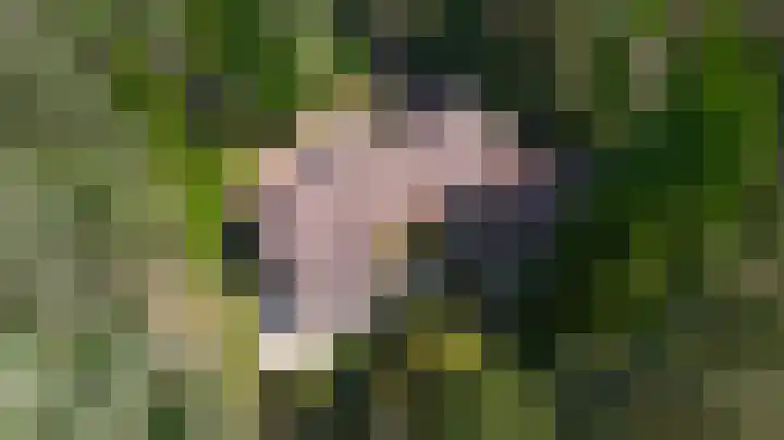 Dennenlaan 1 Maarheeze thumbnail 4