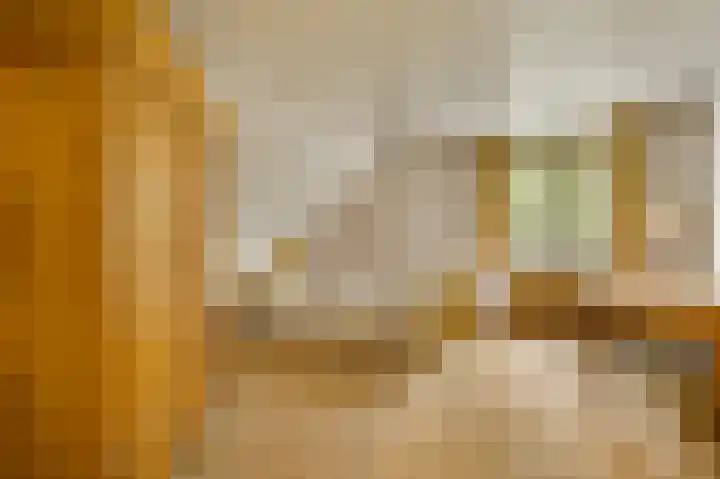 Dennenlaan 1 Maarheeze thumbnail 40