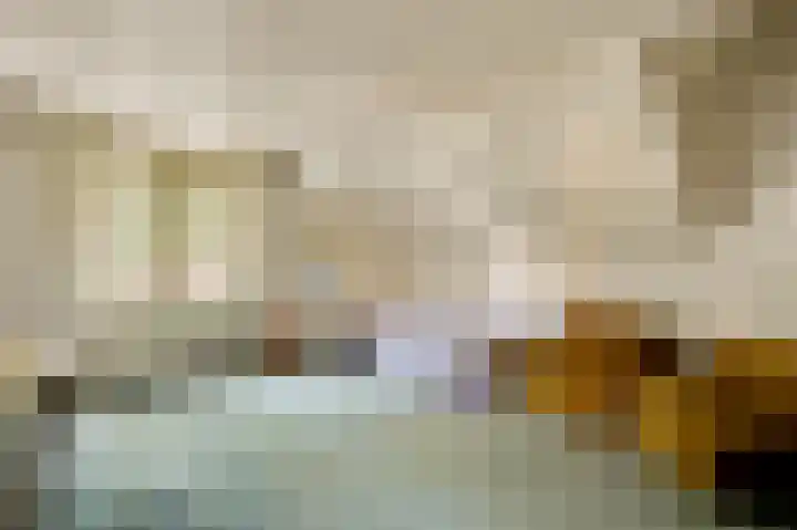 Dennenlaan 1 Maarheeze thumbnail 42