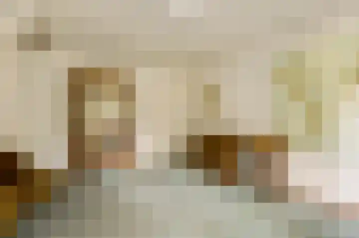 Dennenlaan 1 Maarheeze thumbnail 43