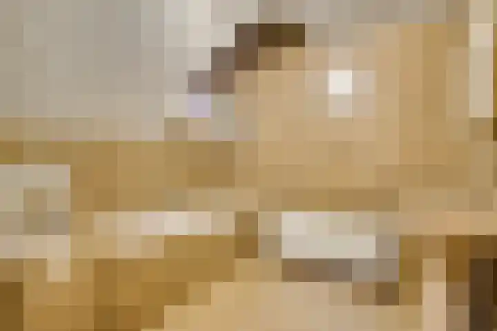 Dennenlaan 1 Maarheeze thumbnail 44