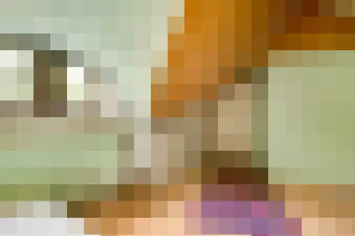 Dennenlaan 1 Maarheeze thumbnail 47