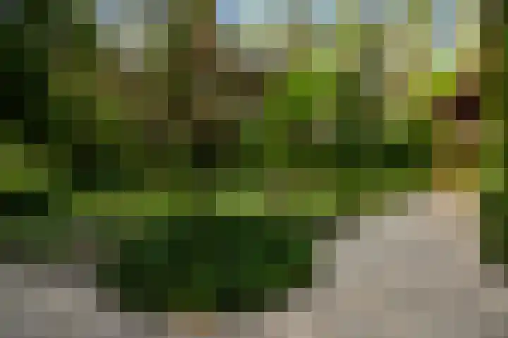 Dennenlaan 1 Maarheeze thumbnail 48