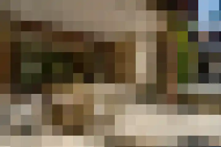 Dennenlaan 1 Maarheeze thumbnail 49