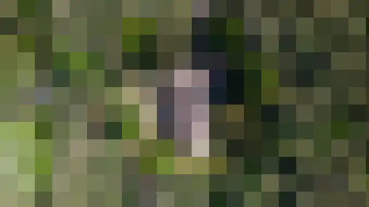 Dennenlaan 1 Maarheeze thumbnail 5