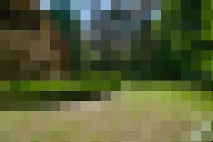 Dennenlaan 1 Maarheeze thumbnail 50