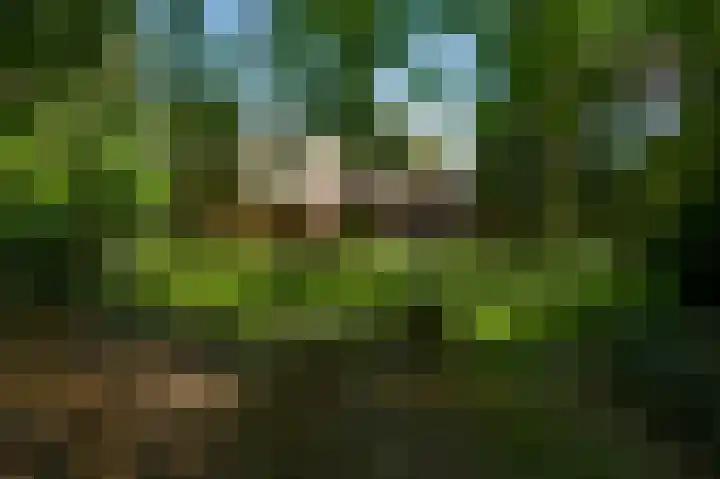 Dennenlaan 1 Maarheeze thumbnail 51