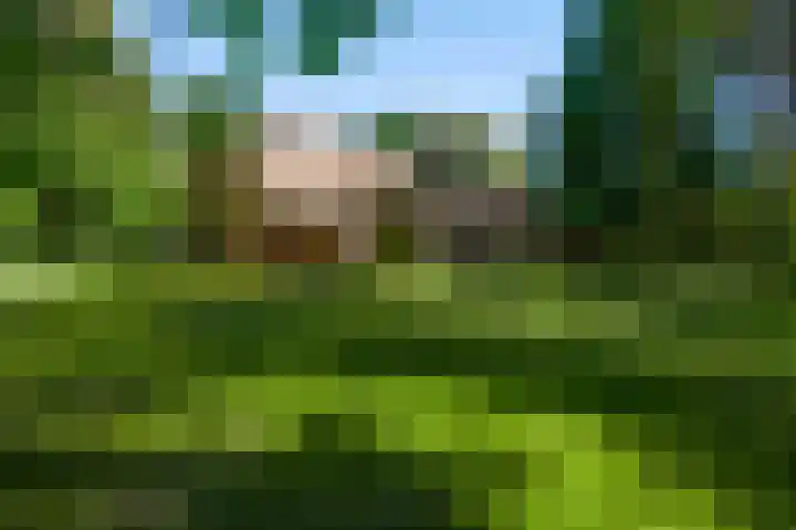 Dennenlaan 1 Maarheeze thumbnail 52