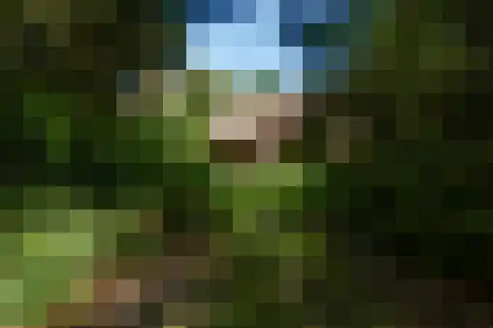 Dennenlaan 1 Maarheeze thumbnail 53
