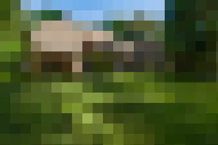 Dennenlaan 1 Maarheeze thumbnail 54