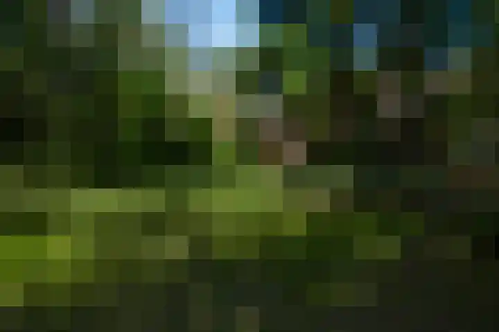 Dennenlaan 1 Maarheeze thumbnail 55