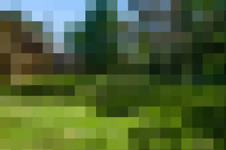 Dennenlaan 1 Maarheeze thumbnail 57
