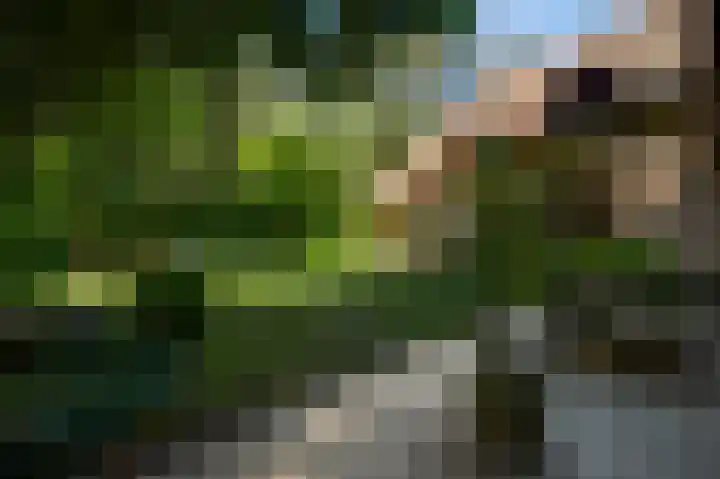 Dennenlaan 1 Maarheeze thumbnail 58