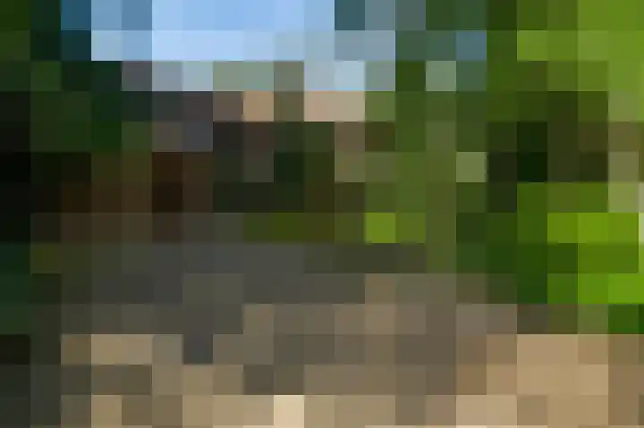 Dennenlaan 1 Maarheeze thumbnail 59