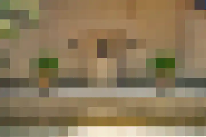 Dennenlaan 1 Maarheeze thumbnail 6