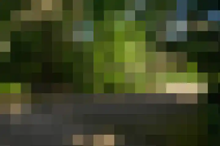 Dennenlaan 1 Maarheeze thumbnail 60