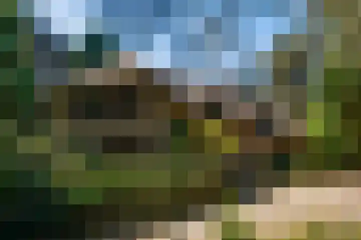 Dennenlaan 1 Maarheeze thumbnail 61
