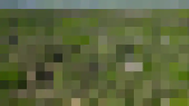 Dennenlaan 1 Maarheeze thumbnail 62