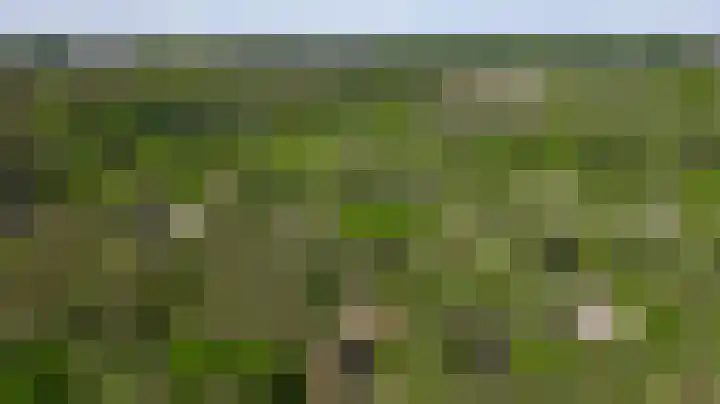 Dennenlaan 1 Maarheeze thumbnail 63