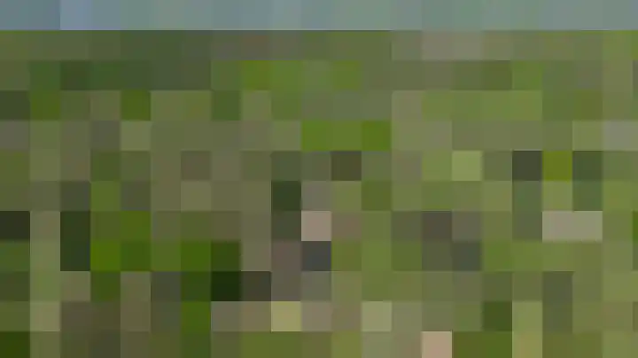 Dennenlaan 1 Maarheeze thumbnail 64