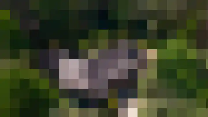 Dennenlaan 1 Maarheeze thumbnail 65