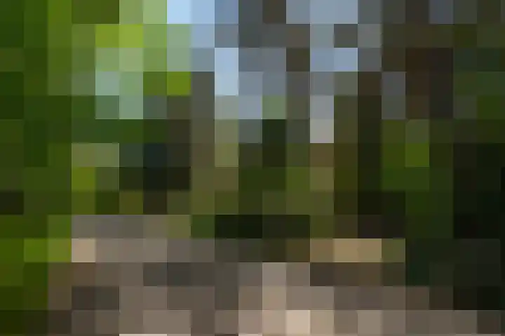 Dennenlaan 1 Maarheeze thumbnail 66