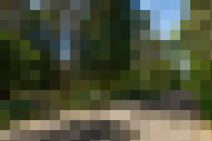 Dennenlaan 1 Maarheeze thumbnail 67