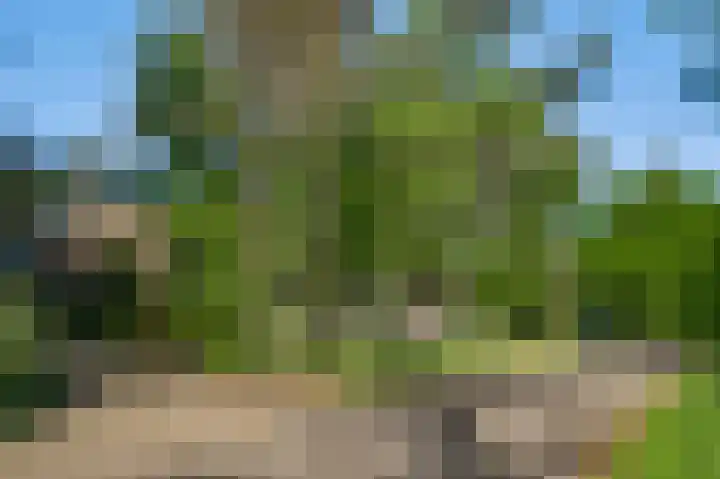 Dennenlaan 1 Maarheeze thumbnail 68