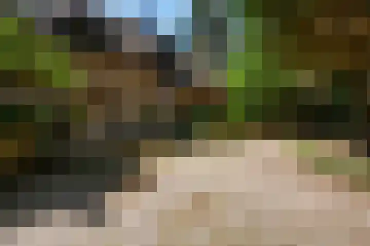 Dennenlaan 1 Maarheeze thumbnail 7
