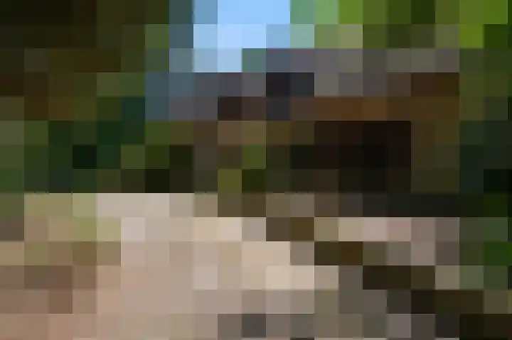 Dennenlaan 1 Maarheeze thumbnail 8