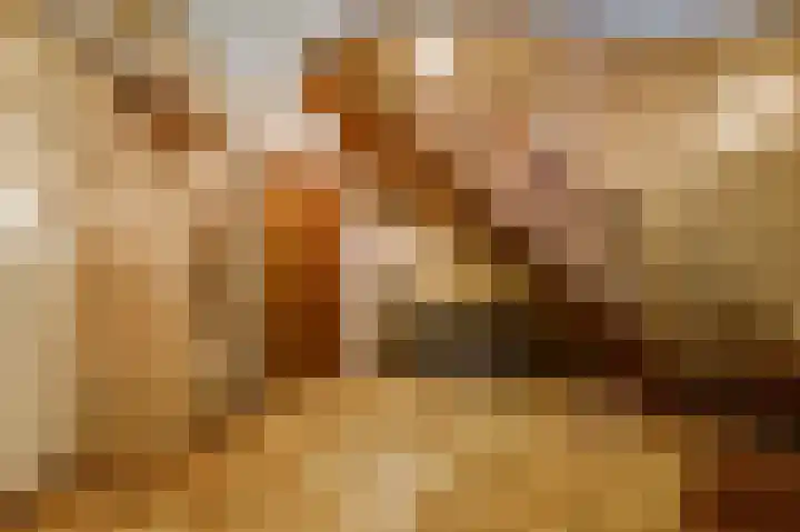 Dennenlaan 1 Maarheeze thumbnail 9