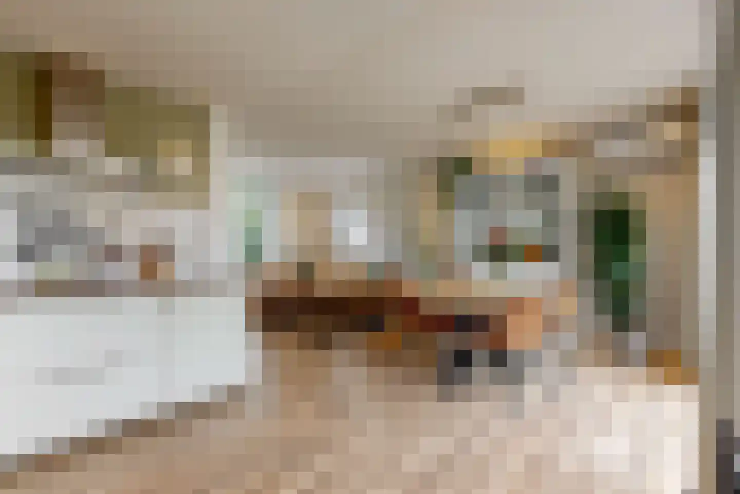 Dennenlaan 1 Nieuwkoop thumbnail 13