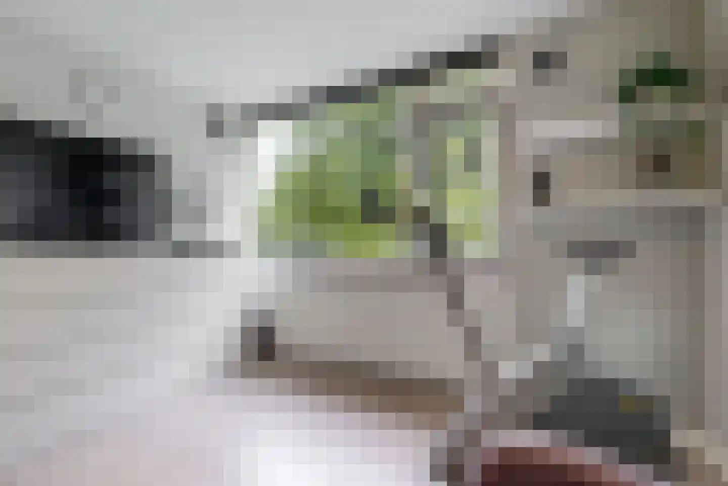 Dennenlaan 1 Nieuwkoop thumbnail 18