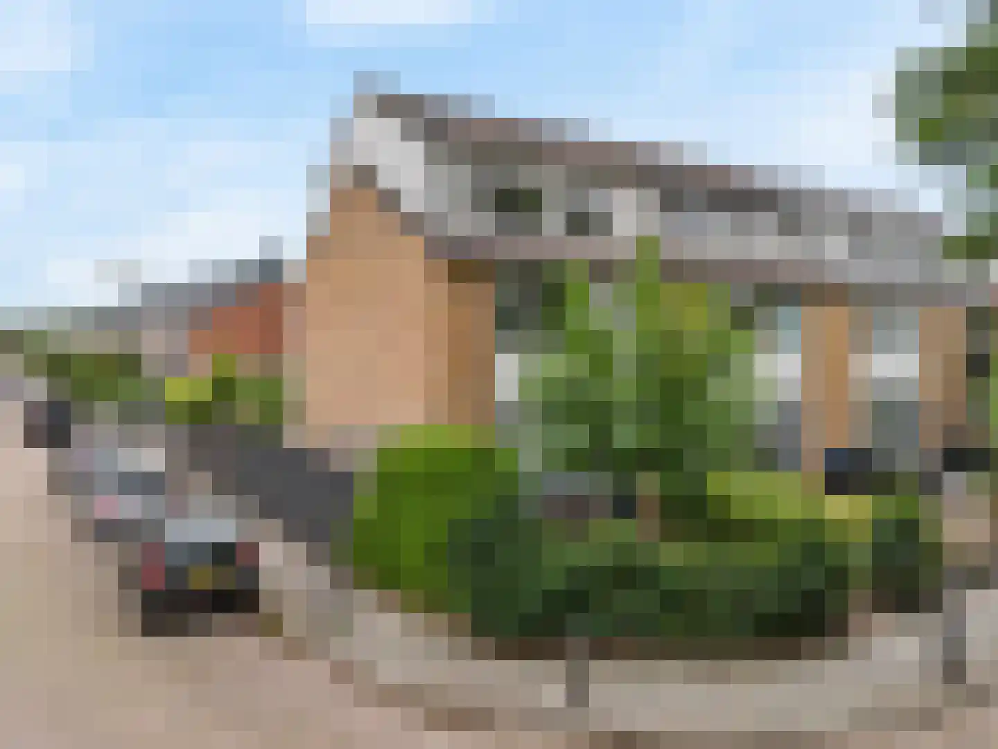 Dennenlaan 1 Nieuwkoop foto 2