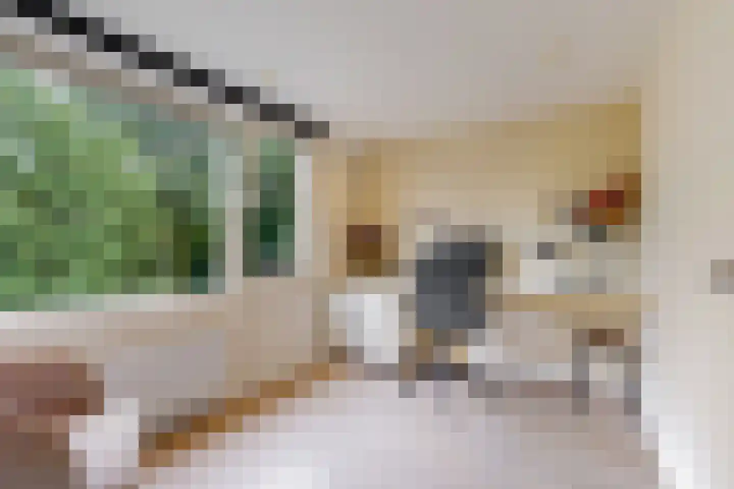 Dennenlaan 1 Nieuwkoop thumbnail 25
